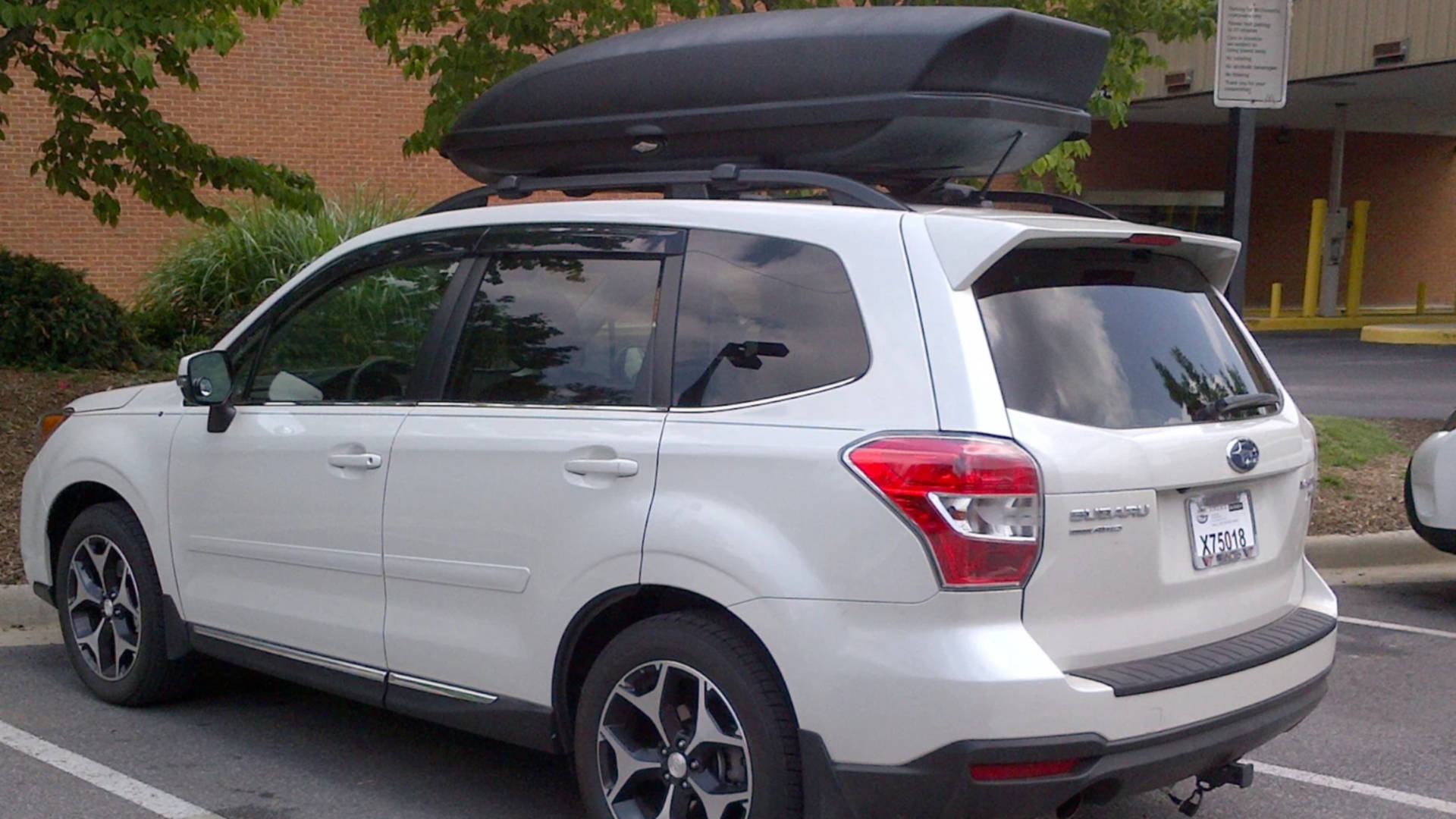 best roof box for skis,roof box for skis,how to secure skis in roof box,how to pack skis in a cargo box,how to transport skis in car